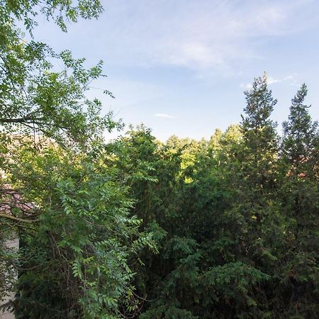 Exotic Rami'S Apartments Temešvár Exteriér fotografie